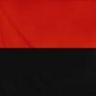 Данило Цуркан