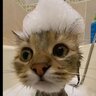 Захар Мельнич_123