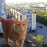 Матвій Кибалюк