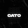 Sato_van