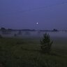 Даніель Вейд