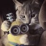 Анна Кедрова
