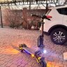 Артем Крильчук