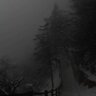 Влад Фантом