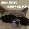 Євген Мудрик