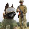 Діана Телегій