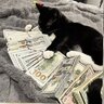 Максим Каштанчик
