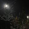 Софія Гарсія