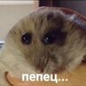 Александр Давидов