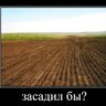 В. Черешня