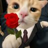 Вадимка Олекс.