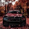 Хантер Скот