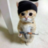 Саша Чайок