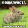 Макар макарон