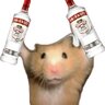 Лейла Ронин