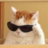 Давид Котик