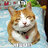 Слава Волик