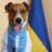 PlexPI | Максим Ужгородський