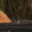 Artemgta
