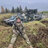 Стіві Каріон