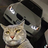 artem_2603