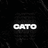 Sato_van