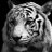 Anna_Gordeeva