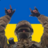 Роман Пачельський