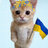 Павло Фрірайдер