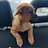 nazar_1446