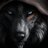 Evgeniy_N