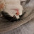 Maksym12345