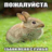 Макар макарон