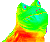5476cce13c97a16955af02ff208a4612_w200.gif