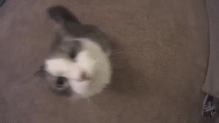 F2b7.gif