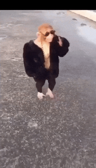 J1Ek.gif